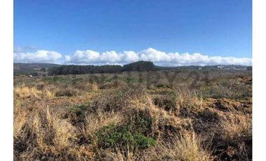 GRAN TERRENO PRIMERA LÍNEA PUNTA DE LOBOS