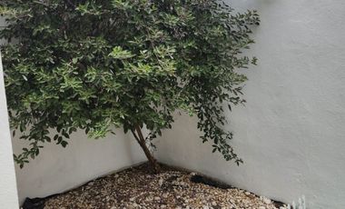 Excelente casa amueblada en Renta en La Cantera