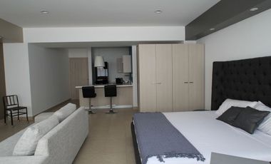 RENTA Departamento Amueblado. Centro Histórico. Carso Alameda. 1R.1B.1E