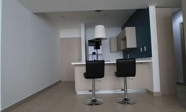 RENTA Departamento Amueblado. Centro Histórico. Carso Alameda. 1R.1B.1E