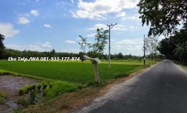 Dijual Murah Tanah Zona Industri di Gerung Lombok Barat