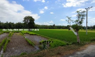 Dijual Murah Tanah Zona Industri di Gerung Lombok Barat