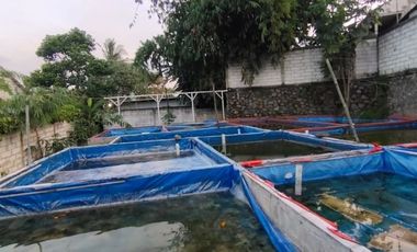 Tanah Lahan Usaha Produktif Jual Cepat Di Tanah Sareal Bogor