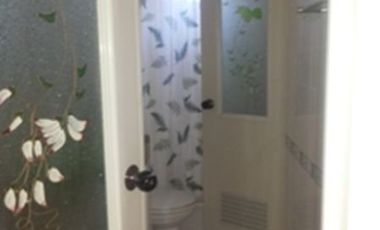 TITLED HOUSE AND LOT IN SAN FERNANDO CITY, LA UNION 250 sqm