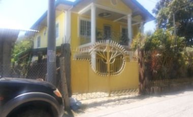 TITLED HOUSE AND LOT IN SAN FERNANDO CITY, LA UNION 250 sqm