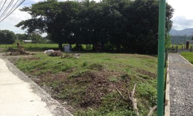 Commercial / Residential Lot for Sale, Bacnotan, La Union (SOLD)