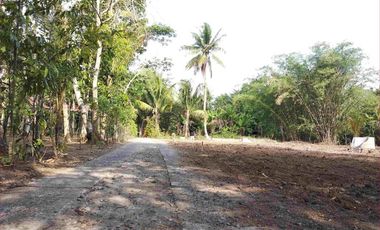 Cuma 600Rb/Meter: Tanah Murah Purworejo