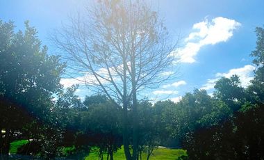 Terreno en venta en Puebla Haras Ciudad Ecológica La Ventana