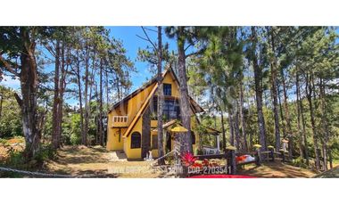 Se Vende Cabaña en Cerro Azul