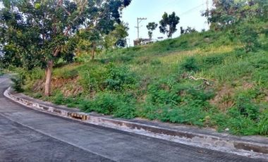 157 Sqm Lot for Sale in Vista Grande Talisay Cebu City Phase 2 near the clubhouse
