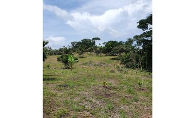 Se Vende Finca 14.5 Ha La Chorrera Iturralde $660.000.00