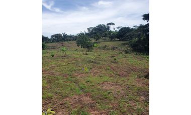 Se Vende Finca 14.5 Ha La Chorrera Iturralde $660.000.00