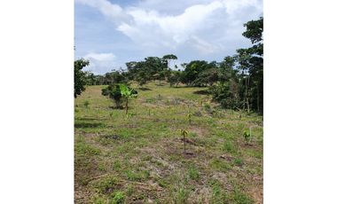Se Vende Finca 14.5 Ha La Chorrera Iturralde $660.000.00
