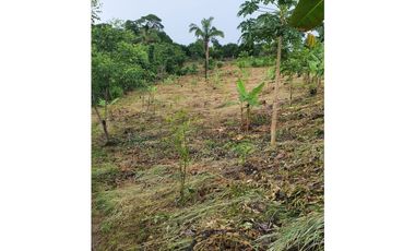 Se Vende Finca 14.5 Ha La Chorrera Iturralde $660.000.00