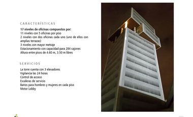 Renta Oficinas Torre Alfa, piso 7 - Centro Mayor