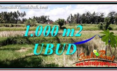 Tanah Murah di Ubud Bali 10 are View Sawah dan tebing