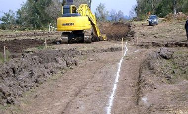 CAMPOS DE VICTORIA CANNING! ULTIMOS LOTES.