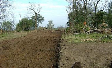 CAMPOS DE VICTORIA CANNING! ULTIMOS LOTES.