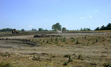 CAMPOS DE VICTORIA CANNING! ULTIMOS LOTES.