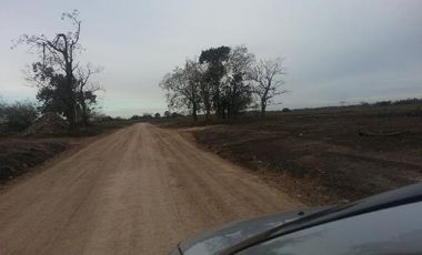 CAMPOS DE VICTORIA CANNING! ULTIMOS LOTES.