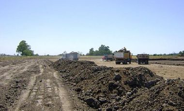 CAMPOS DE VICTORIA CANNING! ULTIMOS LOTES.