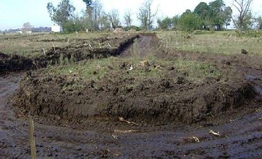 CAMPOS DE VICTORIA CANNING! ULTIMOS LOTES.