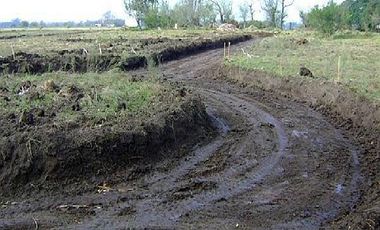 CAMPOS DE VICTORIA CANNING! ULTIMOS LOTES.