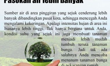 Jual Cepat Rumah Villa 2LT di Cianjur Puncak Cipanas CASH Only 395 Juta
