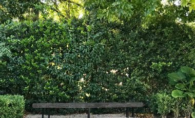 Casa - barrio cerrado  Los Laureles temporario por  Enero ,Febrero, y quincenas