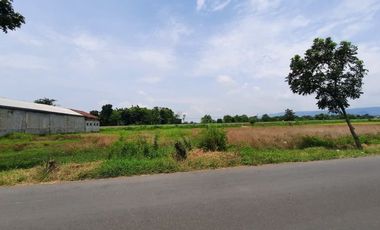 Tanah Pinggir Jalan Raya, Selatan PEMDA Slawi-Tegal