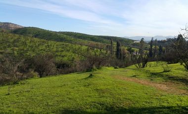 Los Maitenes, Peñablanca, Villa Alemana