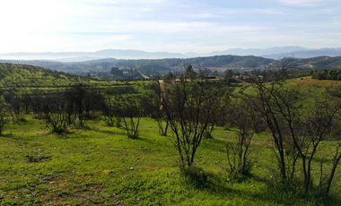 Los Maitenes, Peñablanca, Villa Alemana