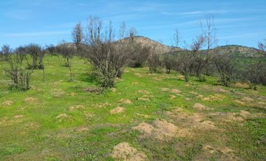 Los Maitenes, Peñablanca, Villa Alemana