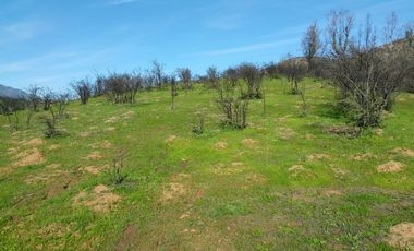 Los Maitenes, Peñablanca, Villa Alemana