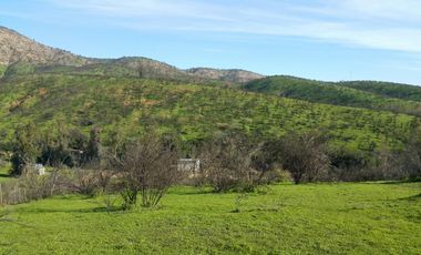 Los Maitenes, Peñablanca, Villa Alemana