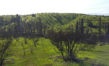 Los Maitenes, Peñablanca, Villa Alemana