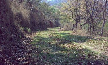 VT-063 RANCHO CAFETALERO PRODUCTIVO EN, Villaflores, Chiapas