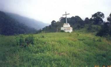 VT-063 RANCHO CAFETALERO PRODUCTIVO EN, Villaflores, Chiapas