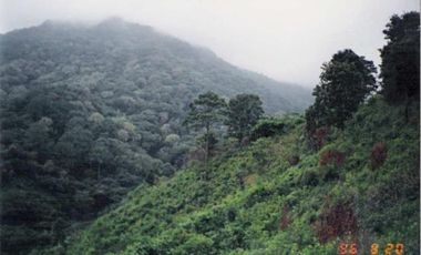 VT-063 RANCHO CAFETALERO PRODUCTIVO EN, Villaflores, Chiapas