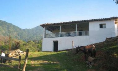 VT-063 RANCHO CAFETALERO PRODUCTIVO EN, Villaflores, Chiapas