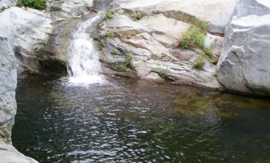 VT-063 RANCHO CAFETALERO PRODUCTIVO EN, Villaflores, Chiapas