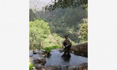 VT-063 RANCHO CAFETALERO PRODUCTIVO EN, Villaflores, Chiapas