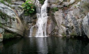 VT-063 RANCHO CAFETALERO PRODUCTIVO EN, Villaflores, Chiapas