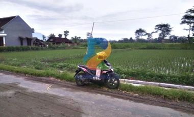 Tanah dijual di Jawa Timur, Blitar Kabupaten