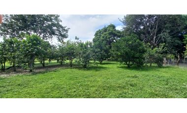 VENTA DE TERRENO CON 6,000 M2 EN COCLE - AGUAS BLANCAS