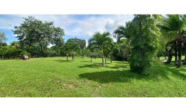 VENTA DE TERRENO CON 6,000 M2 EN COCLE - AGUAS BLANCAS