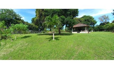VENTA DE TERRENO CON 6,000 M2 EN COCLE - AGUAS BLANCAS