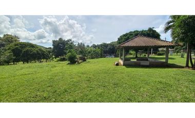 VENTA DE TERRENO CON 6,000 M2 EN COCLE - AGUAS BLANCAS