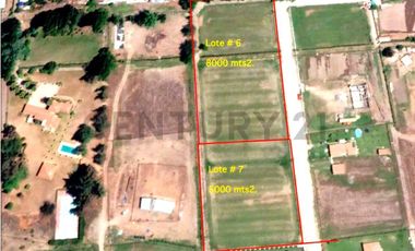 Se Vende Parcela, Pirque, Virginia Subercaseaux