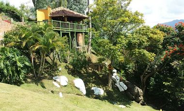 VENTA de FINCAS en COPACABANA
